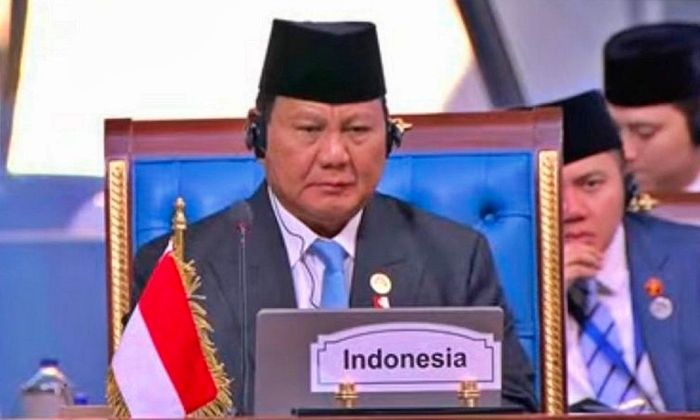 Heboh Sejumlah Delegasi KTT D-8 Keluar Saat Prabowo Pidato, Kemlu Beri Penjelasan